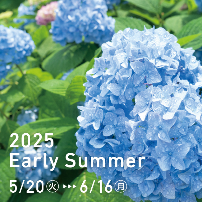 2025 Early Summer