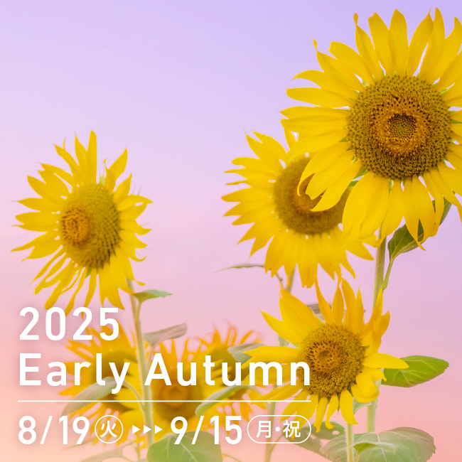 2025 Early Autumn