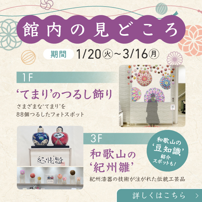 館内展示のみどころ