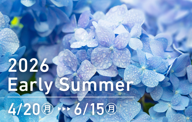 2026
Early Summer 4/20〜6/15