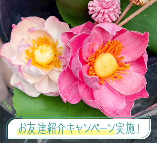 ソラフラワー 蓮のPureブーケ